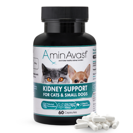 Small Dogs & Cat Kidney Support, 300mg, 60 Capsules